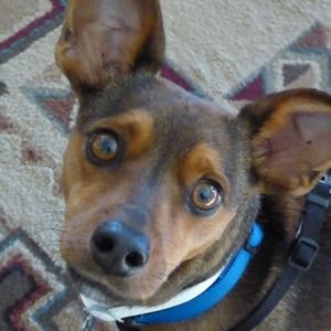 Meet your Posher, Tina o